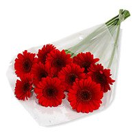 Mother's Day Flower Delivery in Delhi