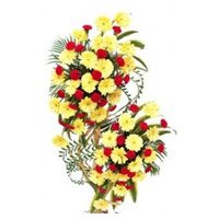 Father's Day Flowers to Delhi : Flower Delivery in Delhi