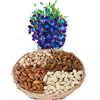 Blue Orchid Bunch 10 Flowers Stem with 1/2 Kg Mix Dry Fruits