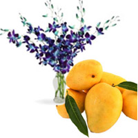 Blue Orchid Vase 6 Flowers Stem with 12 pcs Fresh Mango