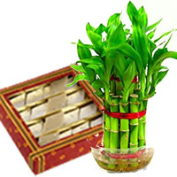 Shop for Gifts to Delhi