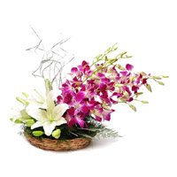 Send 2 White Lily 6 Purple Orchids Basket of Rakhi Flowers to Delhi