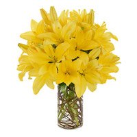 Online Rakhi Delivery to Delhi with 8 Yellow Lily Flower Stems in Vase