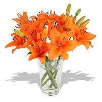 Send Rakhi to Delhi with Orange Lily in Vase 5 Flower Stems