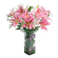 Place Order for Holi Flowers to Delhi