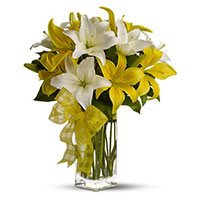 Buy Rakhi with White Yellow Lily in Vase 6 Stems Flower in Delhi