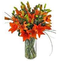 Send Rakhi with Orange Lily Vase 8 Stems Flowers in Delhi
