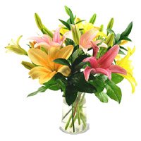 Send Rakhi to Delhi with Mix Lily Vase 5 Flower Stems