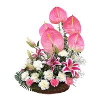 Online Flower Delivery in Delhi - Anthurium Flowers Basket