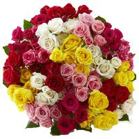 Valentine's Day Flowers to Delhi