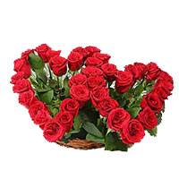 Deliver Rose Day Flowers to Ludhiana