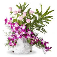 Send Rakhi in Delhi with Orchids n Roses Arrangement 16 Flowers