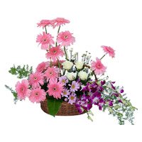 Orchids Roses Flower Delivery in Delhi