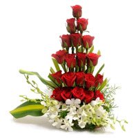 Online Delivery of Rakhi in Delhi with 4 Orchids 20 Arrangement of Roses in Delhi