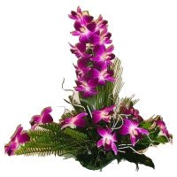 Online Delivery of Rakhi Flowers to Delhi. 6 Purple Orchids Flower to Delhi Arrangement