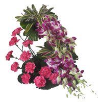 6 Orchids 12 Pink Carnation Arrangement of luxurious Rakhi Flowers Delivered in Delhi