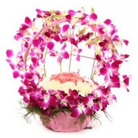8 Orchids and 12 Carnation Basket