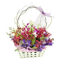 Send Rakhi with Flowers in Delhi. Mixed Orchid with Stem in Basket of 12 Flowers to Delhi