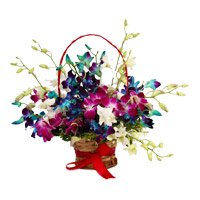 Send Online Mixed Orchid Basket with 9 Stem of Rakhi Flowers to Delhi