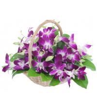 Purple Orchids Basket 15 Flower Stems