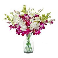Order Online Rakhi Delivery in Delhi with Purple White Orchid in Vase 10 Flowers to Delhi