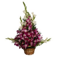 Rakhi Delivery in Delhi with 8 Orchids and 10 Glads Arrangement