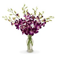 Best Online Flower Delivery in Delhi comprising of Purple Orchid Vase 10 Flowers Stem on Rakhi