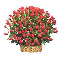 Send Wedding Roses to Delhi