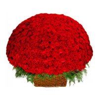 Send Father's Day Flowers to Delhi : 500 Rose Baket