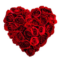 Red Roses Heart Arrangement 100 Flowers : Karwa Chauth Flower Delivery in Delhi
