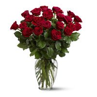 Send Roses to Delhi : Friendship Day Flowers Delivery in Delhi