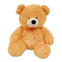 Teddy Bear Delhi