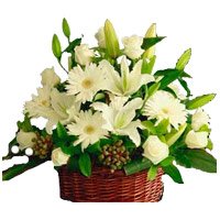 Rakhi Flower Delivery. White Lily Roses Gerbera Basket 20 Flowers in Delhi