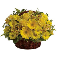 Online Flowers to Delhi