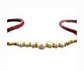 Gifts  to Delhi : Send Rakhi Gifts to Delhi