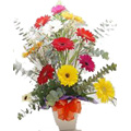 Gerbera Flowers to Delhi : Flowers to Delhi : Send Flowers to Delhi
