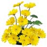 Gerbera Flowers to Delhi : Flowers to Delhi : Send Flowers to Delhi