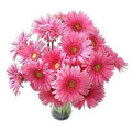 Flowers to Delhi : Birthday Flowers to Delhi : Send Flowers to Delhi