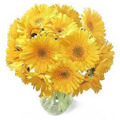 Flowers to Delhi : Anniversary Flowers to Delhi : Send Flowers to Delhi
