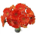 Flowers to Delhi : Mothers Day Flowers to Delhi : Send Flowers to Delhi