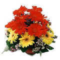 Flowers to Delhi : Karwa Chauth Flowers to Delhi