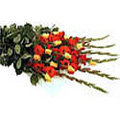 Send Valentines Day Flowers to Delhi : Flowers to Delhi