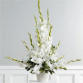 Valentines Day Flowers to Delhi : Flowers to Delhi
