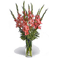 Send Valentine's Day Flowers to Delhi : Flowers to Delhi