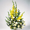 Send Valentine Flowers to Delhi : Flowers to Delhi