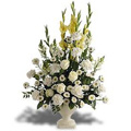 Valentine Flowers to Delhi : Flowers to Delhi