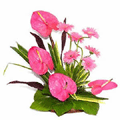 Send flowers to Delhi same day