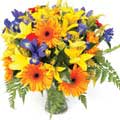 Flowers to New Delhi