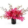 Flowers to Delhi : Send Flowers to Delhi