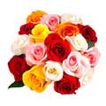 Flowers to Delhi : Send Flowers to Delhi